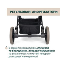Прогулочная коляска Chicco Dolomiti (87163.30)