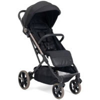 Прогулочная коляска Chicco Dolomiti (87163.94) 