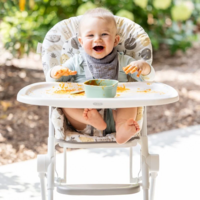 Стільчик для годування Graco MiniLite Фрутелла (GH2502AAFRT000)
