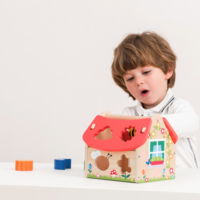 Сортер New classic toys Будинок з формами (10563)
