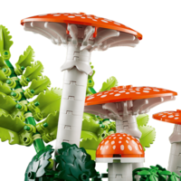 Конструктор LEGO Botanicals Лесные грибы (11505)