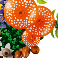 Конструктор LEGO Botanicals Лесные грибы (11505)