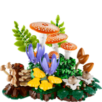 Конструктор LEGO Botanicals Лесные грибы (11505)