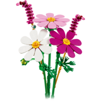 Конструктор LEGO Botanicals Квіти космеї (11514)