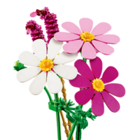Конструктор LEGO Botanicals Квіти космеї (11514)