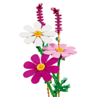 Конструктор LEGO Botanicals Квіти космеї (11514)
