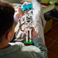 Конструктор LEGO Minecraft Скелет (21594)