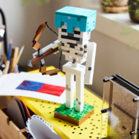 Конструктор LEGO Minecraft Скелет (21594)