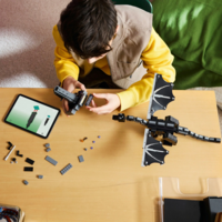 Конструктор LEGO Minecraft Дракон Краю (21595)