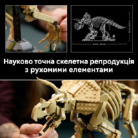 Конструктор LEGO Jurassic Park Скам'янілості динозаврів: Трицератопс (77985)