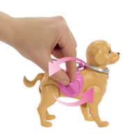 Ігровий набір Barbie Прогулянка з песиком (JJB46)