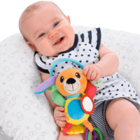 Іграшка-брязкальце Chicco Mr. Puppy (09226.00) 