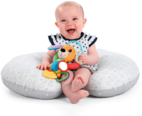 Іграшка-брязкальце Chicco Mr. Puppy (09226.00) 