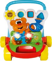 Іграшка-ходунки Chicco Baby Gardener (09793.00)