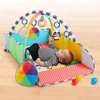 Розвивальний килимок Baby Einstein Color Playspace (12573)
