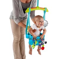 Стрибунці Bright Starts Bounce 'n Spring Deluxe (10410)