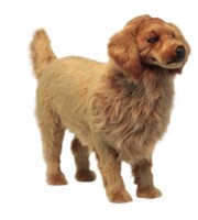 М'яка іграшка Hansa Animal Seat Золотистий ретривер, 100 см (6346) 