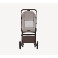 Прогулянкова коляска Anex Ride Chrome (RD-01)