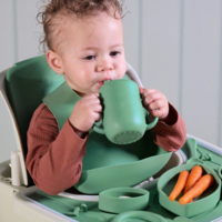 Набір аксесуарів для стільчика Tutti Bambini Nova Maison Basil (611025/BA)