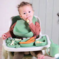 Набір аксесуарів для стільчика Tutti Bambini Nova Maison Basil (611025/BA)
