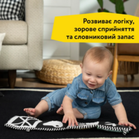 Розвиваюча м'яка книжка Baby Einstein "Counting at the Farm" (17303)
