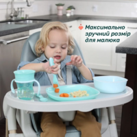 Набір тарілок Chicco Dish Set, 12м+, 2 шт. (16002.25)