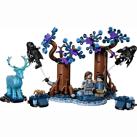 Конструктор LEGO Harry Potter Заборонений ліс: Експекто патронум (76475)