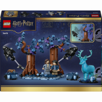 Конструктор LEGO Harry Potter Заборонений ліс: Експекто патронум (76475)