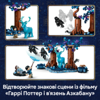 Конструктор LEGO Harry Potter Заборонений ліс: Експекто патронум (76475)