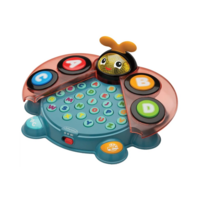 Розвиваюча іграшка Infantino Кольоровий Жучок (312012I)