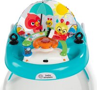 Ходунки Baby Einstein Sky Explorers (11901) 