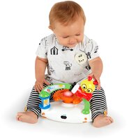 Ходунки Baby Einstein Sky Explorers (11901) 