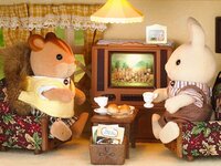 Ігровий набір Sylvanian Families Кольоровий телевізор (4264)