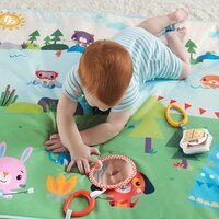 Килимок-ігровий центр Веселі пригоди Fisher-Price (GXR53)