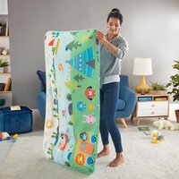 Килимок-ігровий центр Веселі пригоди Fisher-Price (GXR53)