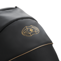 Дитячий візочок Bebetto Torino 2 в 1 SI (03)