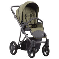 Дитячий візочок Bebetto Flavio 2 в 1 (03)