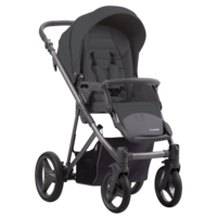 Дитячий візочок Bebetto Flavio 2 в 1 (05)