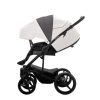 Дитячий візочок Bebetto Torino 2 в 1 TEX 03