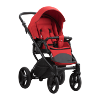 Універсальна коляска 2 в 1 Bebetto Luca 15G