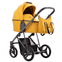 Дитячий візочок Bebetto Flavio 2 в 1 (08)