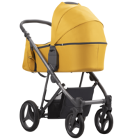 Дитячий візочок Bebetto Flavio 2 в 1 (08)