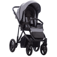 Дитячий візочок 2 в 1 Bebetto Pascal (03) 