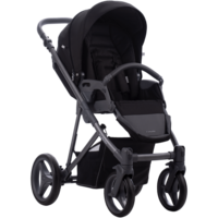 Дитячий візочок Bebetto Flavio 2 в 1 (10)