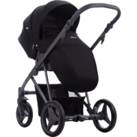 Дитячий візочок Bebetto Flavio 2 в 1 (10)