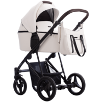 Детская коляска Bebetto Flavio 2 в 1 PRO (01)