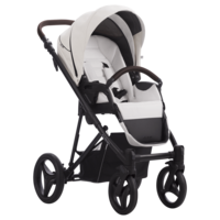 Детская коляска Bebetto Flavio 2 в 1 PRO (01)