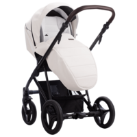 Детская коляска Bebetto Flavio 2 в 1 PRO (01)