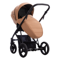 Детская коляска Bebetto Flavio 2 в 1 PRO (03)