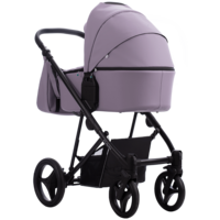 Детская коляска Bebetto Flavio 2 в 1 PRO (05)